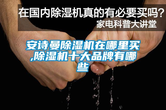 国产精品三级在线观看 安诗曼除湿机在哪里买,除湿机十大品牌有哪些