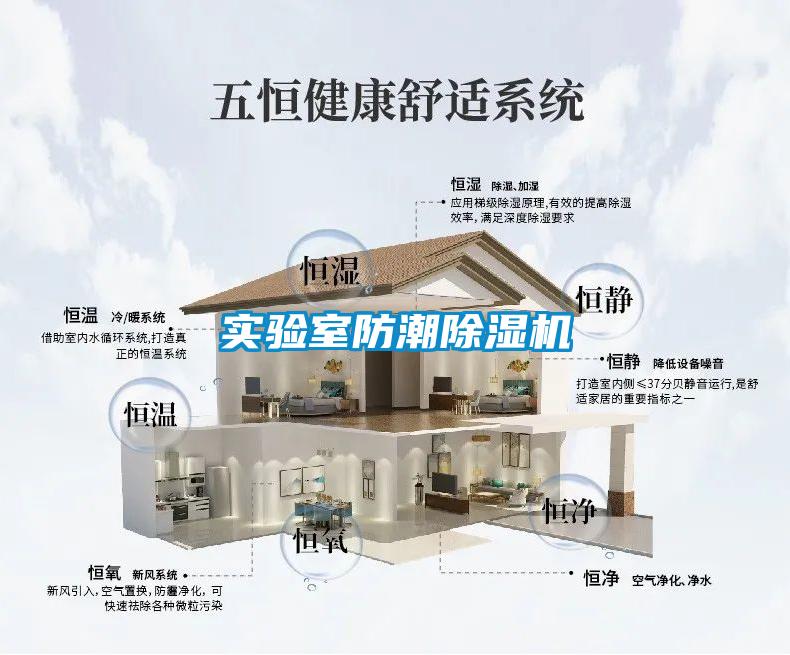 国产精品欧美激情视频 实验室防潮除湿机