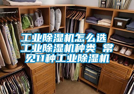 国产精品欧美激情视频 工业除湿机怎么选 工业除湿机种类 常见11种工业除湿机