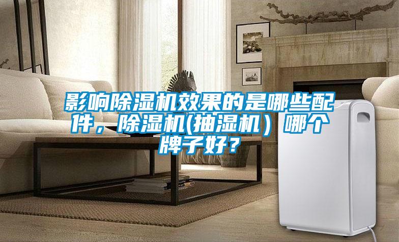 国产精品欧美激情视频 影响除湿机效果的是哪些配件，除湿机(抽湿机）哪个牌子好？