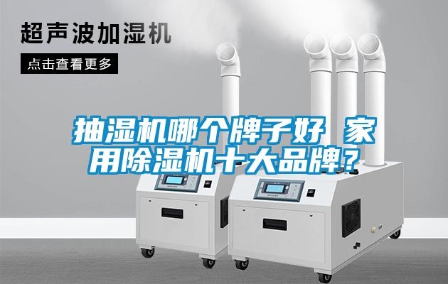 国产精品欧美激情视频 抽湿机哪个牌子好 家用除湿机十大品牌？