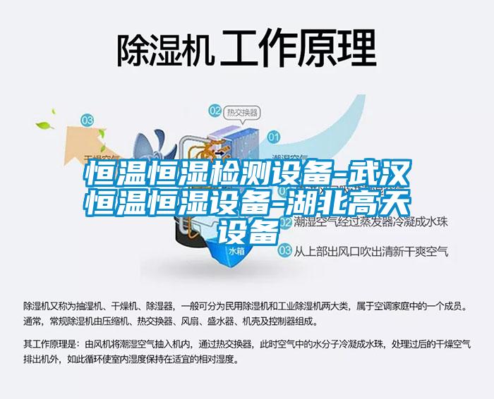 国产精品三级在线观看 恒温恒湿检测设备-武汉恒温恒湿设备-湖北高天设备