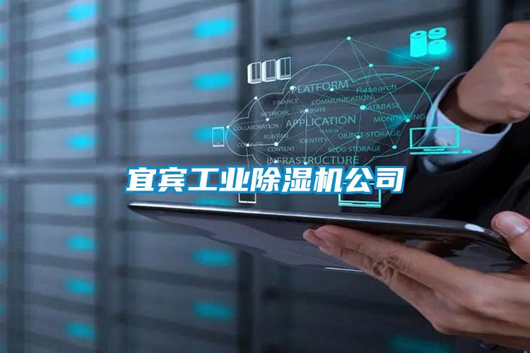 国产精品探花在线观看 宜宾工业除湿机公司