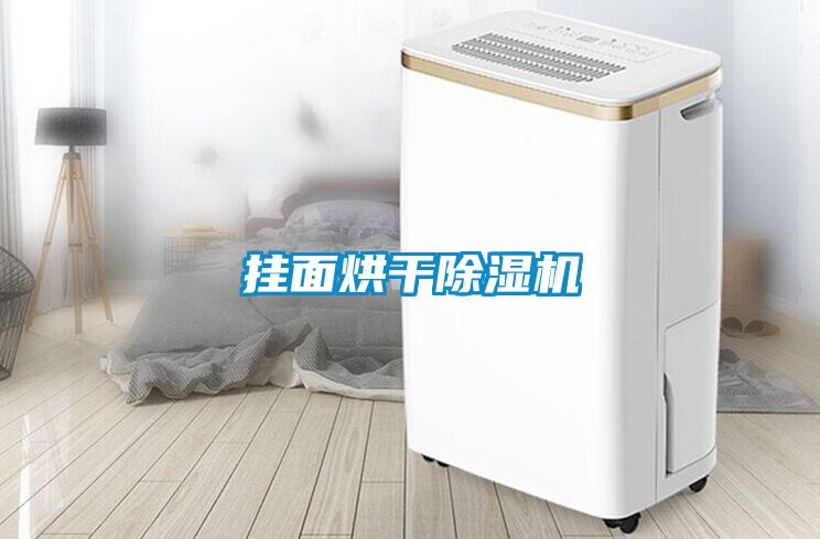 国产精品欧美激情视频 挂面烘干除湿机