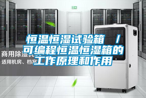国产精品三级在线观看 恒温恒湿试验箱 ／可编程恒温恒湿箱的工作原理和作用