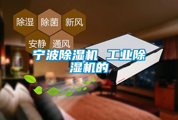 国产精品探花在线观看 宁波除湿机 工业除湿机的