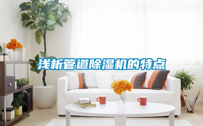国产精品三级在线观看 浅析管道除湿机的特点