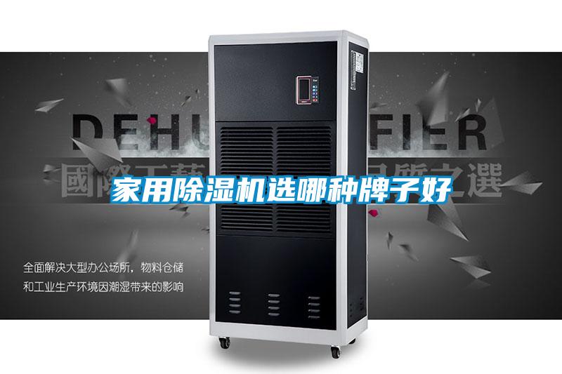 国产精品欧美激情视频 家用除湿机选哪种牌子好