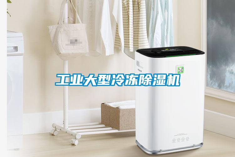 国产精品欧美激情视频 工业大型冷冻除湿机