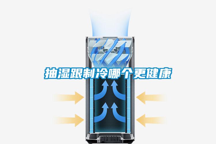 国产精品欧美激情视频 抽湿跟制冷哪个更健康