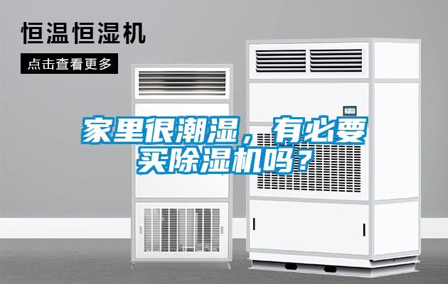 国产精品欧美激情视频 家里很潮湿，有必要买除湿机吗？