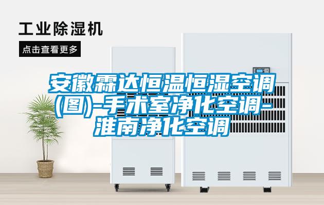 国产精品三级在线观看 安徽霖达恒温恒湿空调(图)-手术室净化空调-淮南净化空调