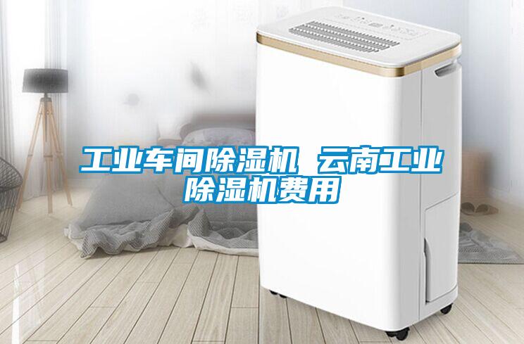国产精品三级在线观看 工业车间除湿机 云南工业除湿机费用