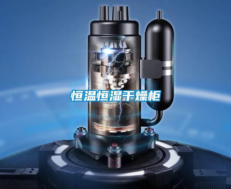国产精品三级在线观看 恒温恒湿干燥柜