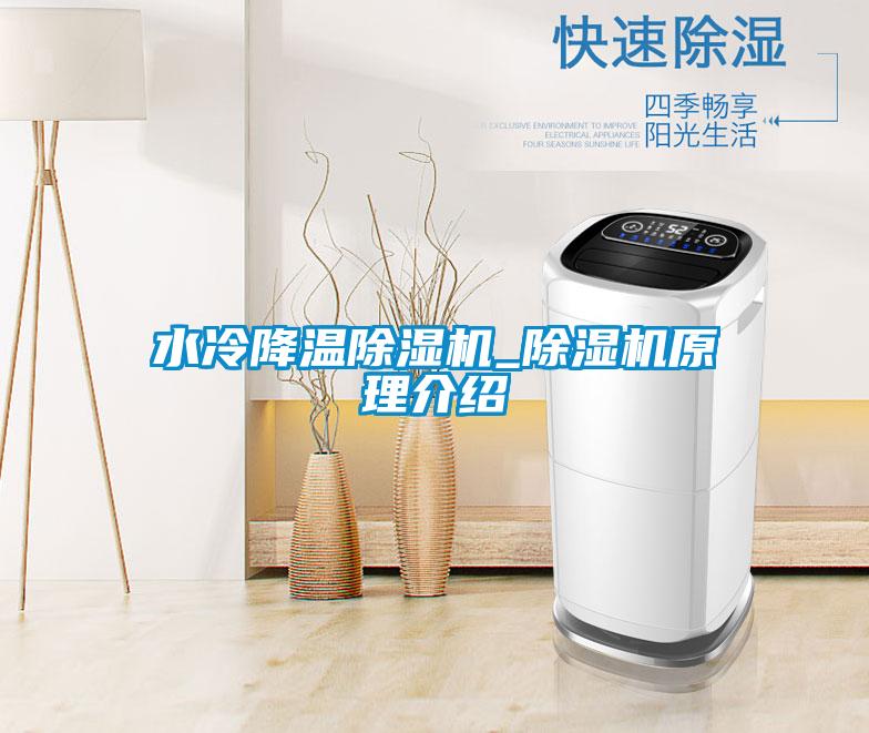 国产精品欧美激情视频 水冷降温除湿机_除湿机原理介绍