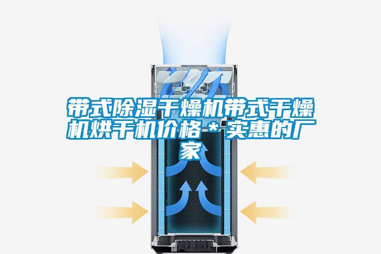 国产精品探花在线观看 带式除湿干燥机带式干燥机烘干机价格＊实惠的厂家