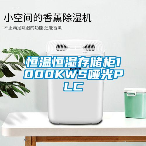 国产精品欧美激情视频 恒温恒湿存储柜1000KWS哑光PLC