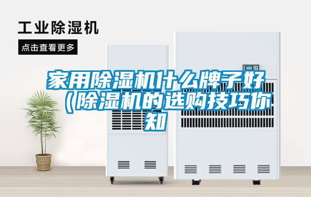 国产精品欧美激情视频 家用除湿机什么牌子好（除湿机的选购技巧你知