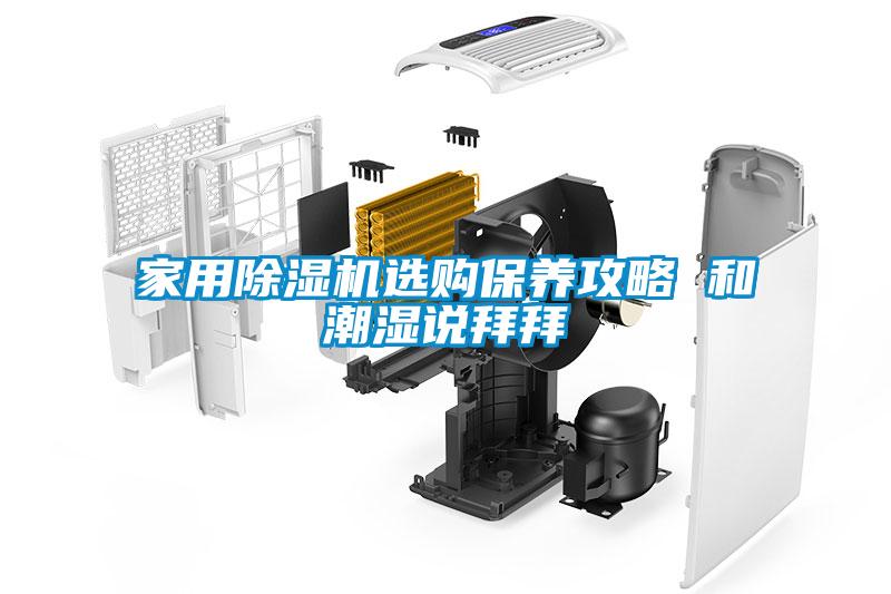 国产精品三级在线观看 家用除湿机选购保养攻略 和潮湿说拜拜