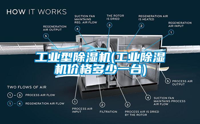 国产精品欧美激情视频 工业型除湿机(工业除湿机价格多少一台)