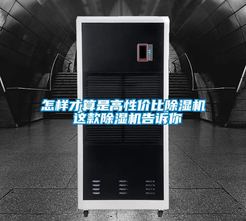 国产精品欧美激情视频 怎样才算是高性价比除湿机 这款除湿机告诉你