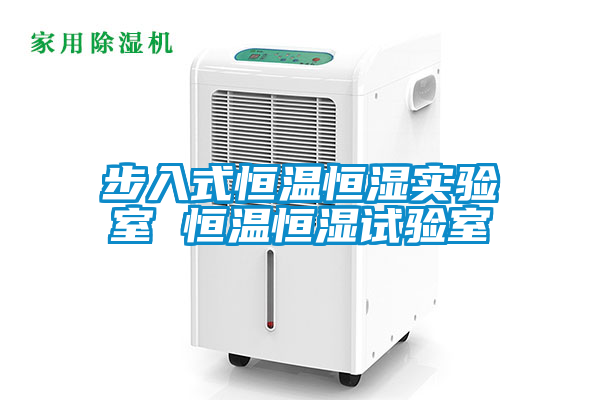 国产精品三级在线观看 步入式恒温恒湿实验室 恒温恒湿试验室