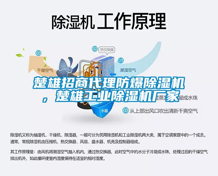 国产精品欧美激情视频 楚雄招商代理防爆除湿机，楚雄工业除湿机厂家