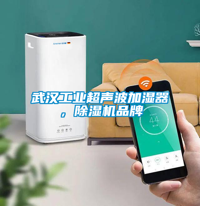 国产精品欧美激情视频 武汉工业超声波加湿器，除湿机品牌