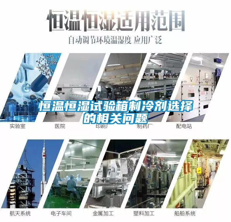 国产精品欧美激情视频 恒温恒湿试验箱制冷剂选择的相关问题
