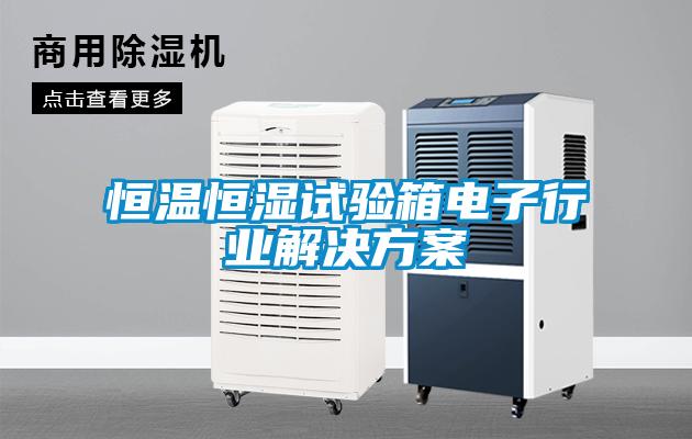 国产精品欧美激情视频 恒温恒湿试验箱电子行业解决方案