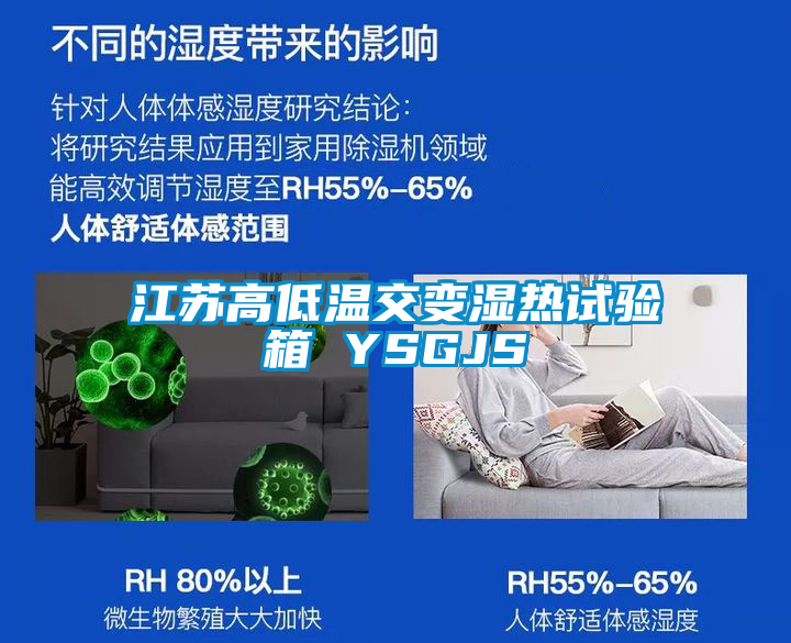 国产精品探花在线观看 江苏高低温交变湿热试验箱 YSGJS
