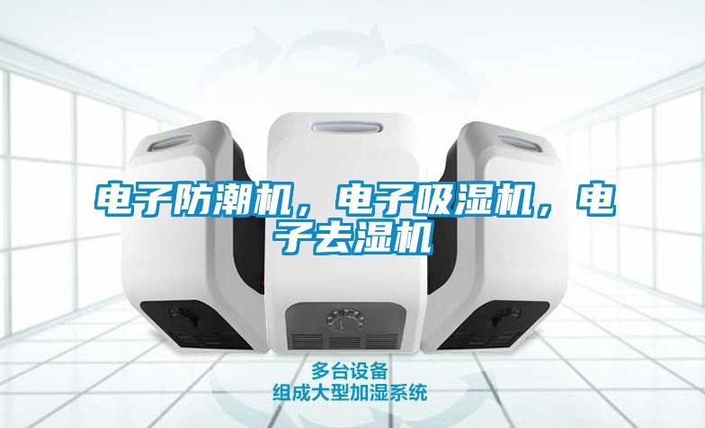 国产精品三级在线观看 电子防潮机，电子吸湿机，电子去湿机