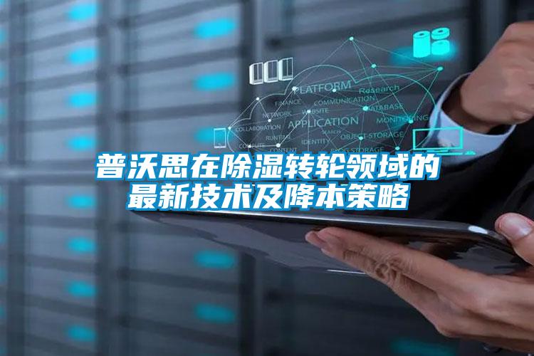 国产精品三级在线观看 普沃思在除湿转轮领域的最新技术及降本策略