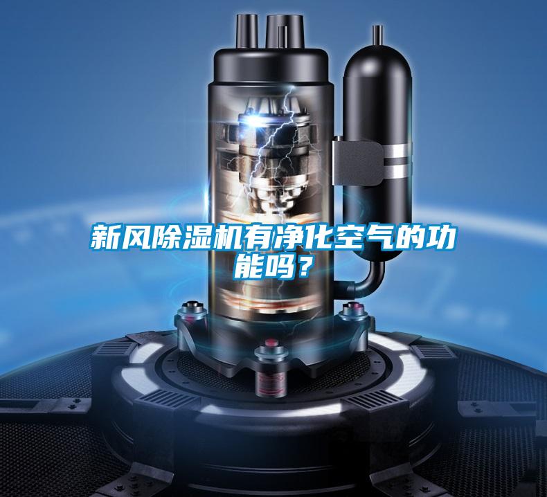 国产精品欧美激情视频 新风除湿机有净化空气的功能吗？