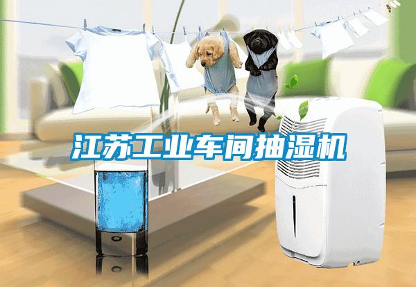 国产精品欧美激情视频 江苏工业车间抽湿机