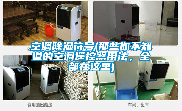 国产精品欧美激情视频 空调除湿符号(那些你不知道的空调遥控器用法，全都在这里)