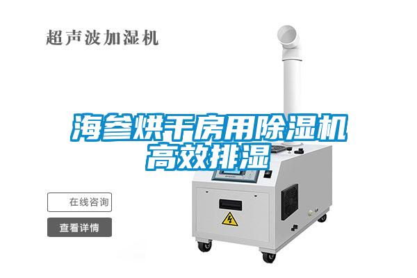 国产精品三级在线观看 海参烘干房用除湿机高效排湿