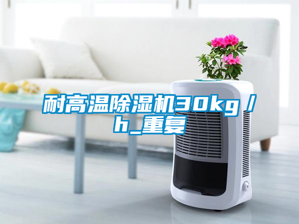 国产精品三级在线观看 耐高温除湿机30kg／h_重复