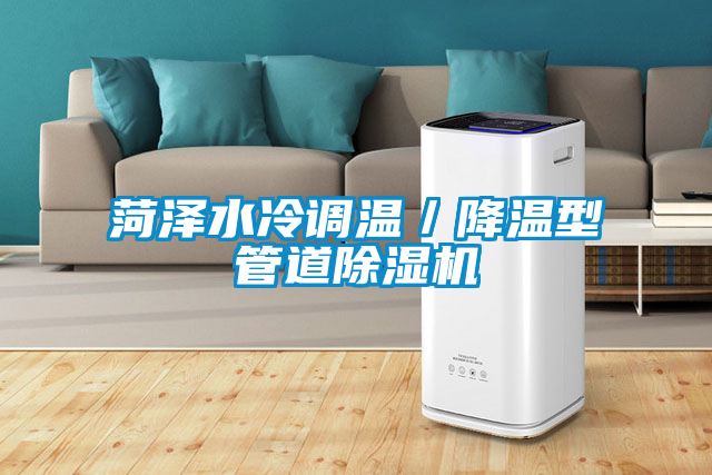 国产精品探花在线观看 菏泽水冷调温／降温型管道除湿机