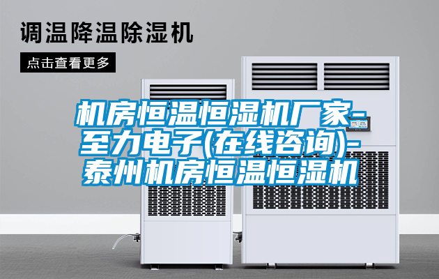 国产精品欧美激情视频 机房恒温恒湿机厂家-至力电子(在线咨询)-泰州机房恒温恒湿机