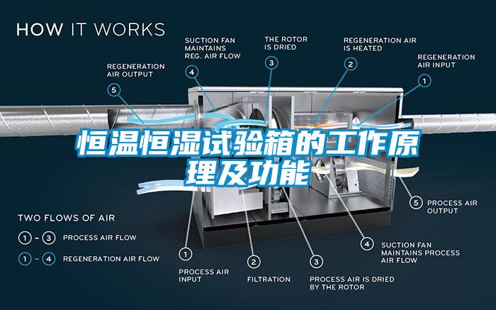国产精品三级在线观看 恒温恒湿试验箱的工作原理及功能
