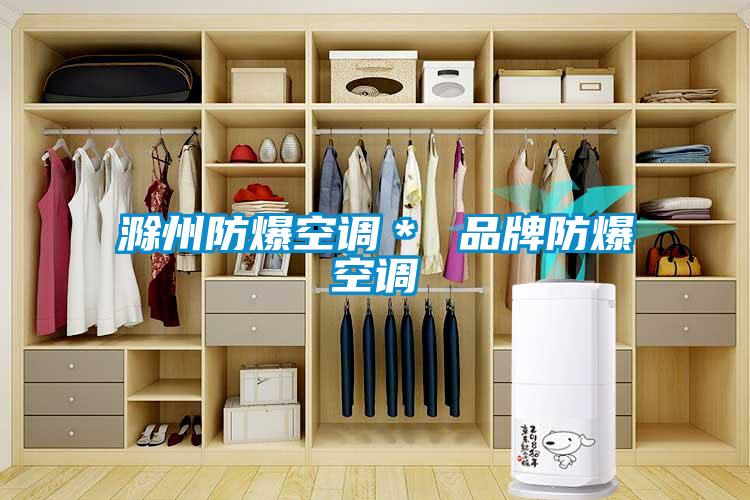 国产精品探花在线观看 滁州防爆空调＊ 品牌防爆空调