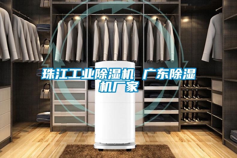 国产精品欧美激情视频 珠江工业除湿机 广东除湿机厂家