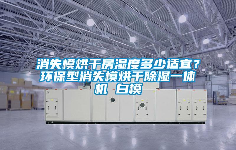 国产精品欧美激情视频 消失模烘干房湿度多少适宜？环保型消失模烘干除湿一体机 白模