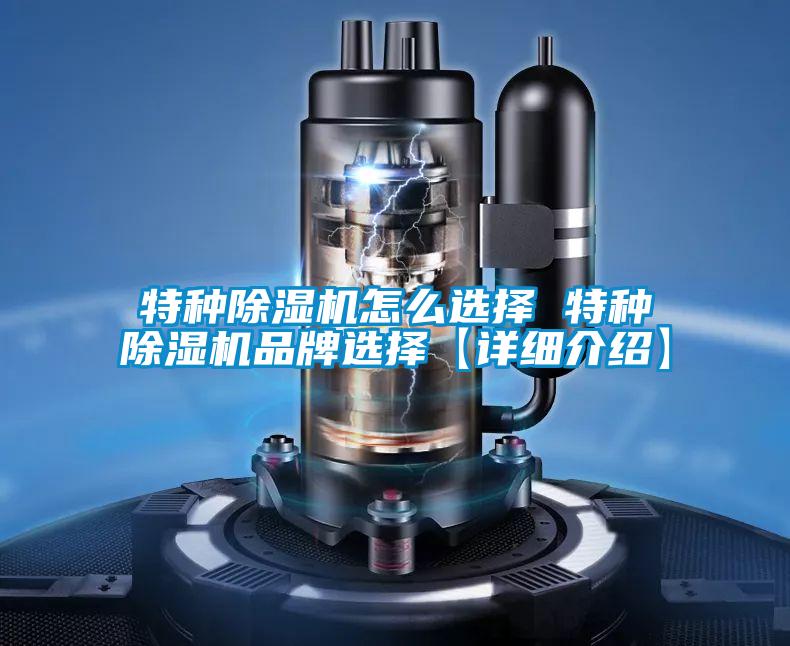 国产精品欧美激情视频 特种除湿机怎么选择 特种除湿机品牌选择【详细介绍】