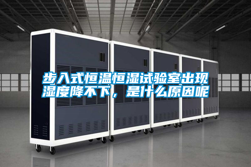 国产精品欧美激情视频 步入式恒温恒湿试验室出现湿度降不下，是什么原因呢