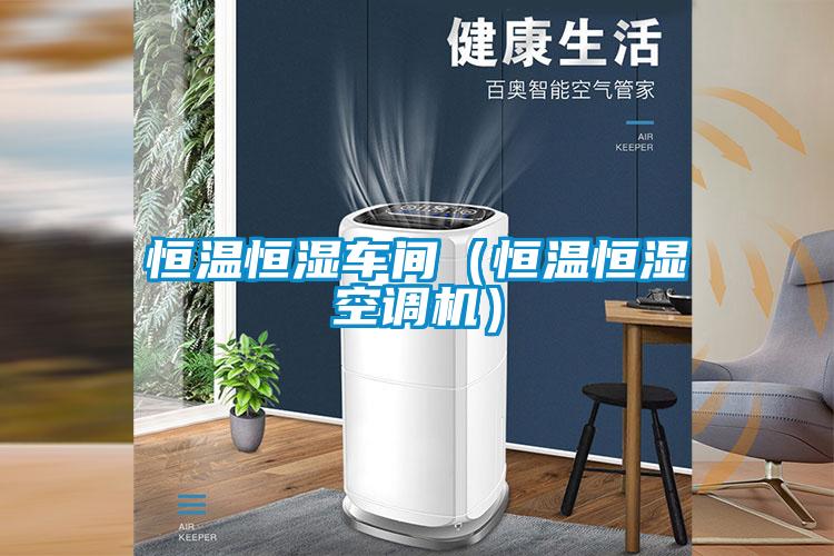 国产精品探花在线观看 恒温恒湿车间（恒温恒湿空调机）