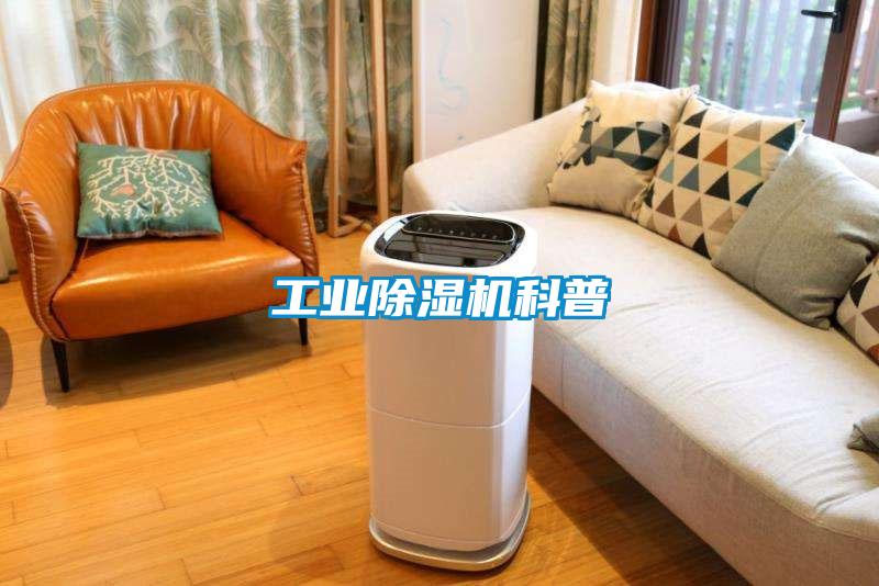国产精品三级在线观看 工业除湿机科普