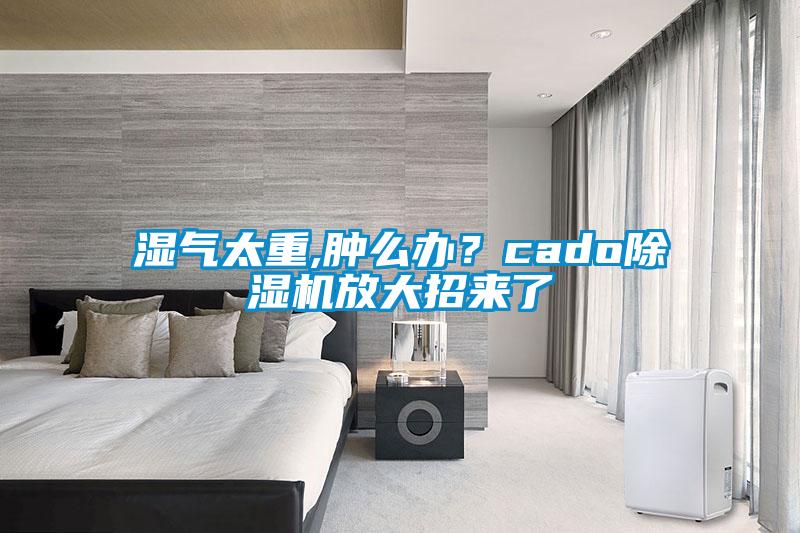 国产精品三级在线观看 湿气太重,肿么办？cado除湿机放大招来了
