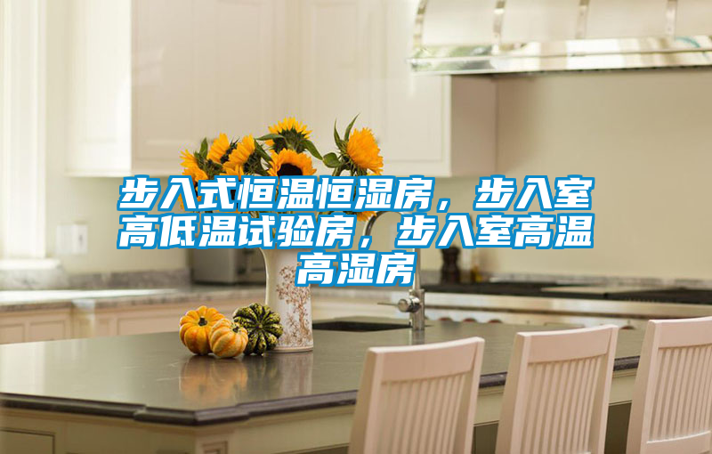 国产精品三级在线观看 步入式恒温恒湿房，步入室高低温试验房，步入室高温高湿房